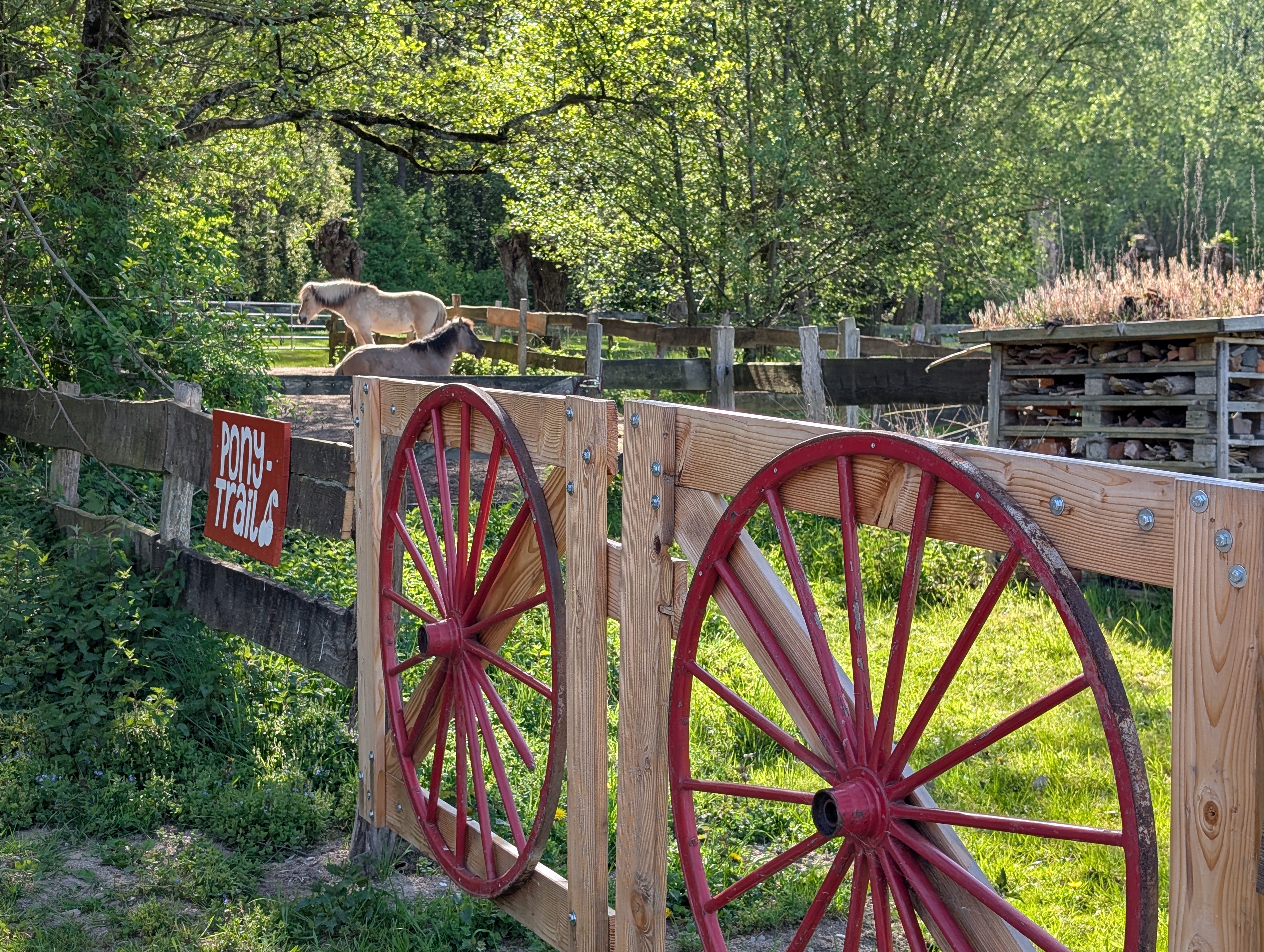 Pony-Trail auf dem Kirschkamperhof